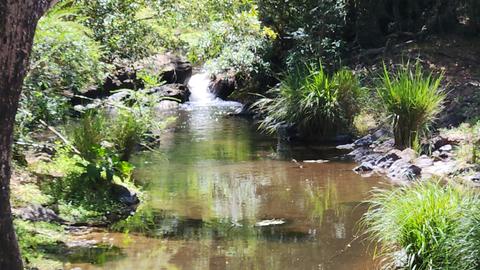 Wongabindi