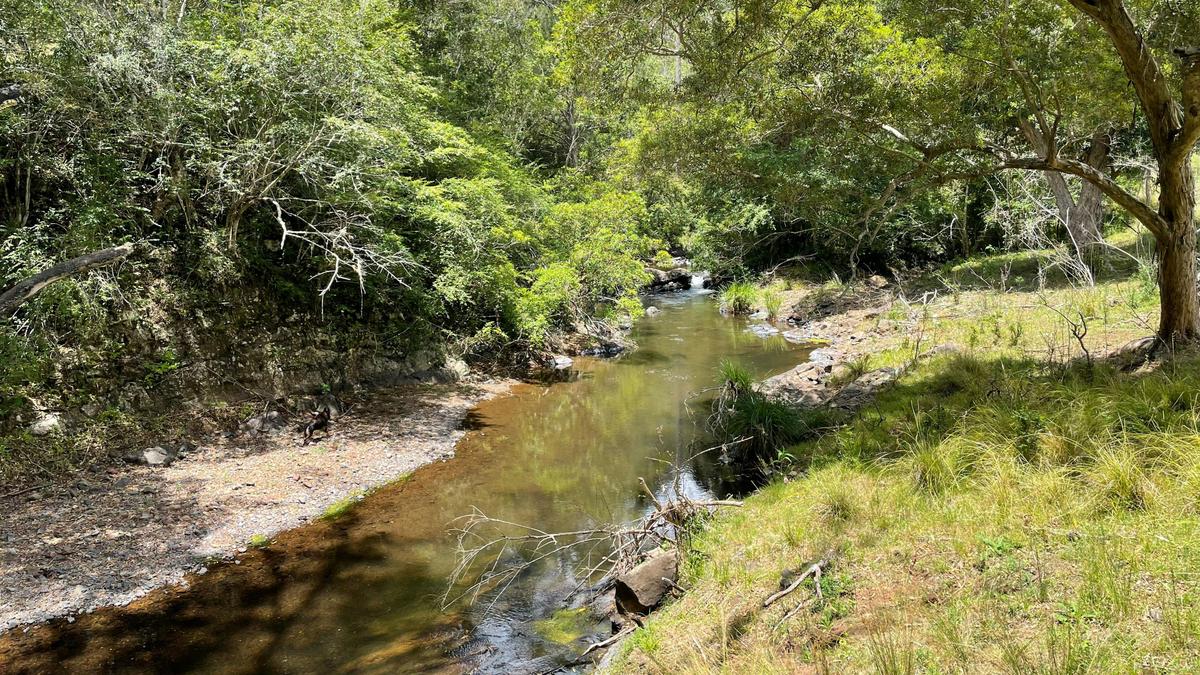 Wongabindi