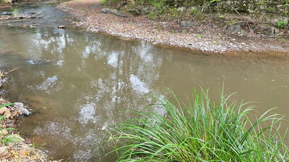 Wongabindi