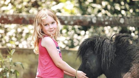 Yarramalong Valley Horse Farmstay