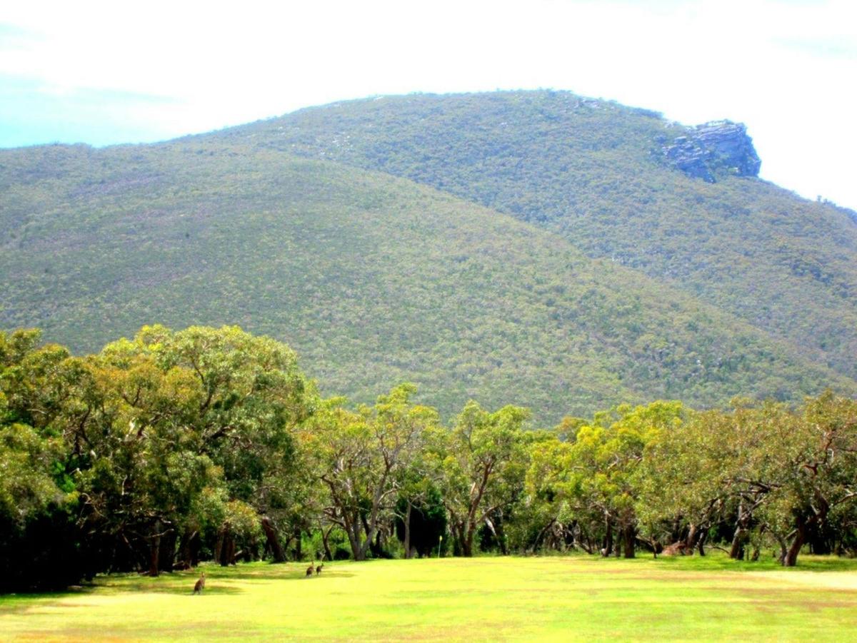 The Grampians (Gariwerd) National Park makes a stunning backdrop