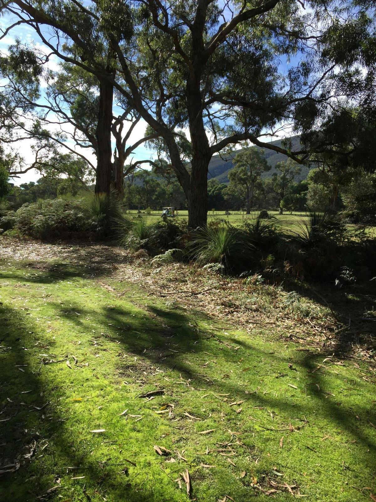 One of Victoria's most picturesque courses