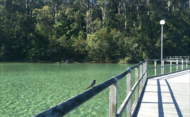 Mill Bay Boardwalk Narooma