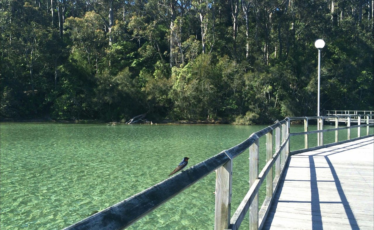 Mill Bay Boardwalk