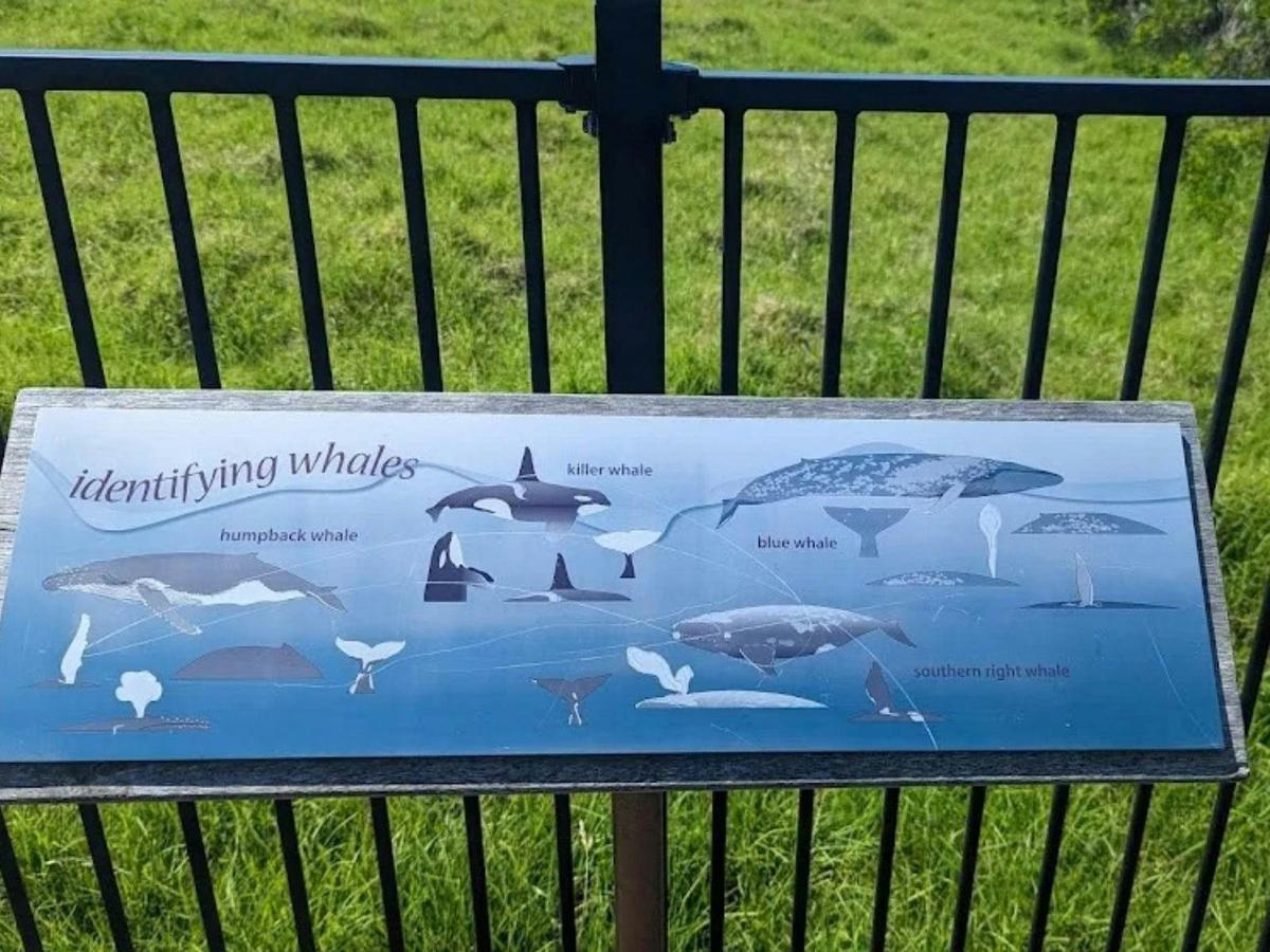 Minnamurra Whale Watching Platform