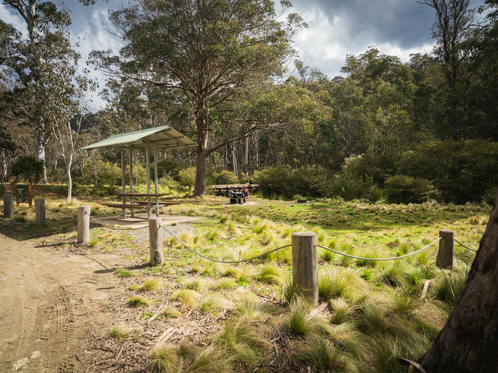 Manning River picnic area