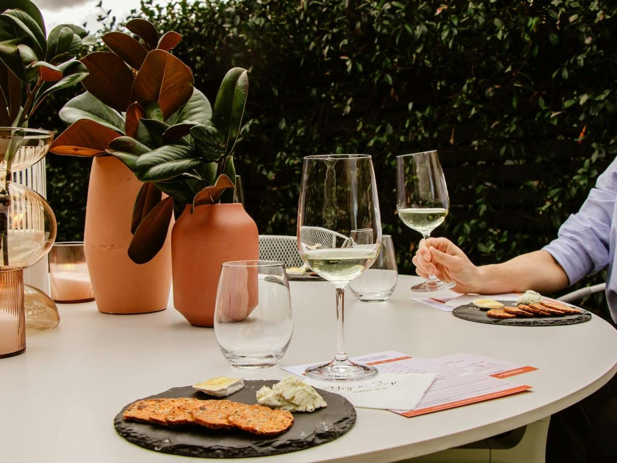 Fun Wine Tasting