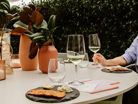 Fun Wine Tasting