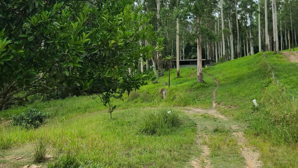 Cooks Creek Retreat