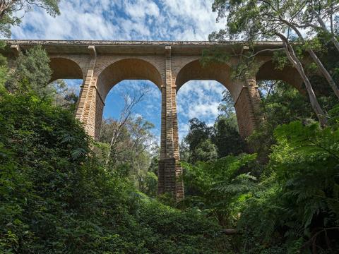 Knapsack Bridge