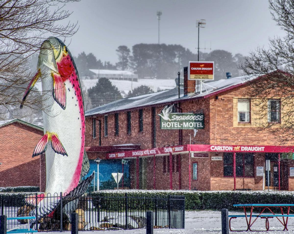 The Big Trout and Snowgoose Hotel