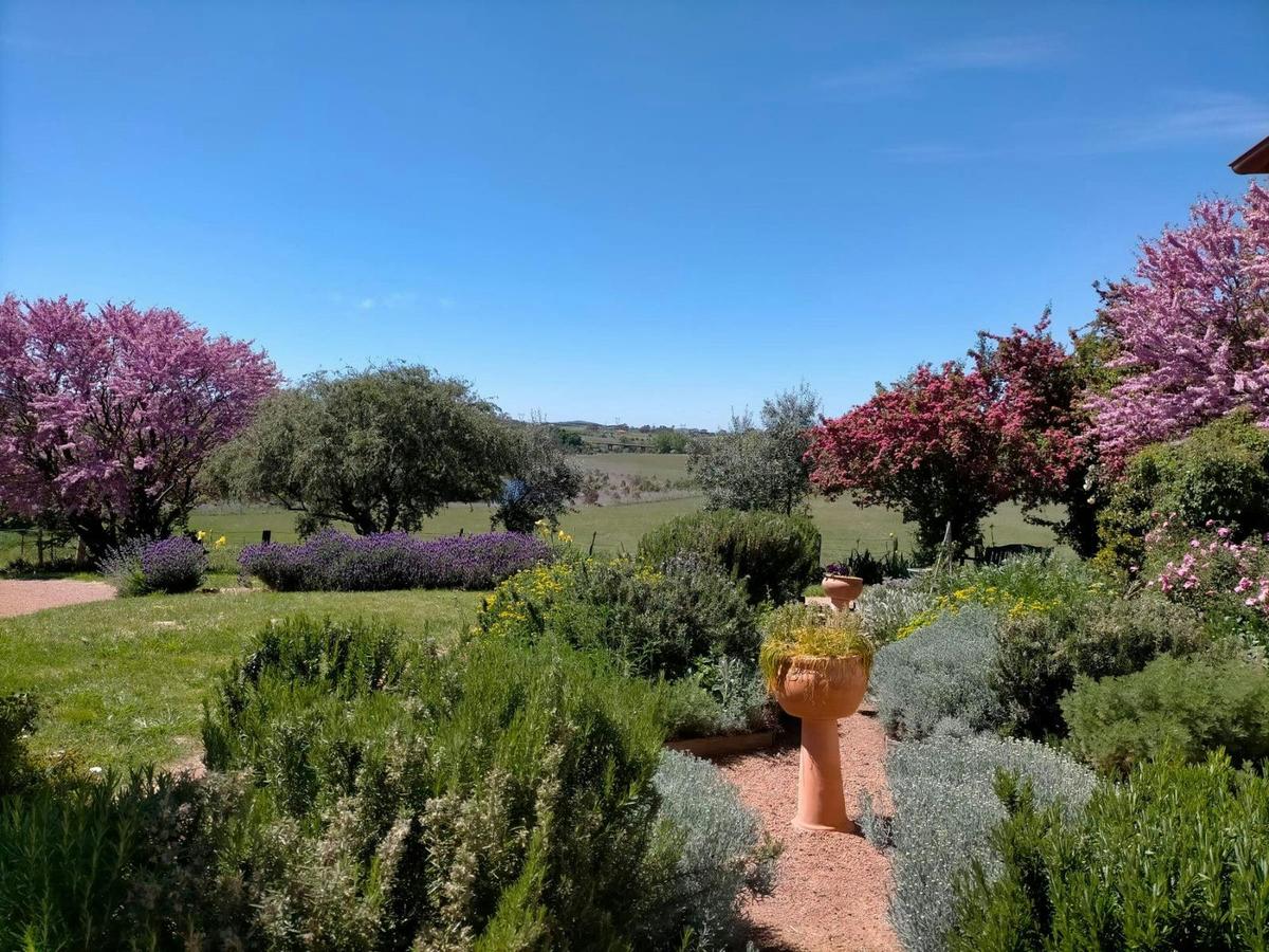 Cooma Cottage Spring High Tea