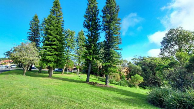 Arcadia Park