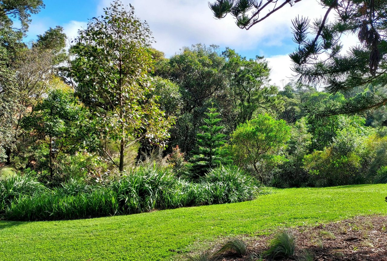 Arcadia Park