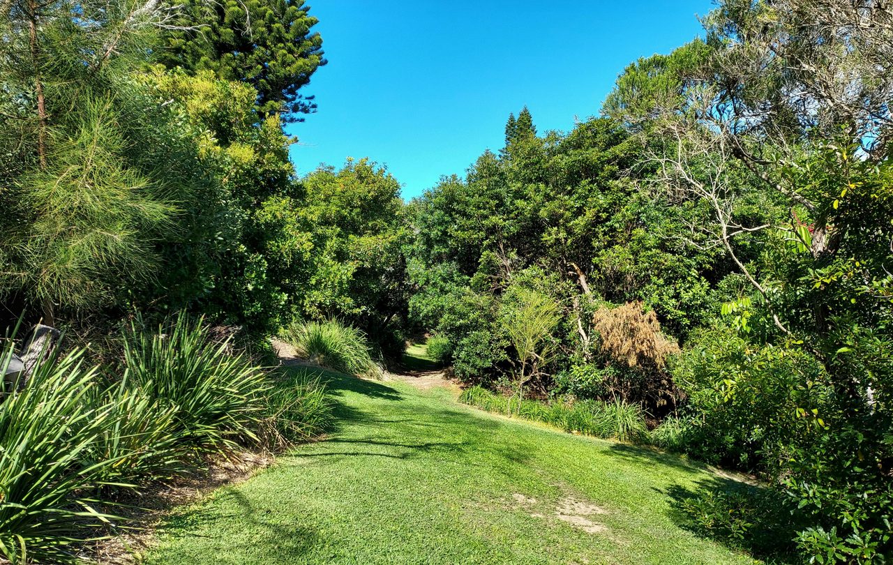 Arcadia Park