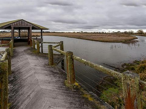 Mother of Ducks Lagoon birdwatching platform