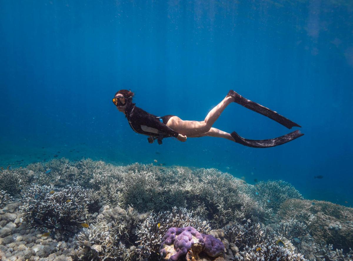 Exploring the reef on a single breath
