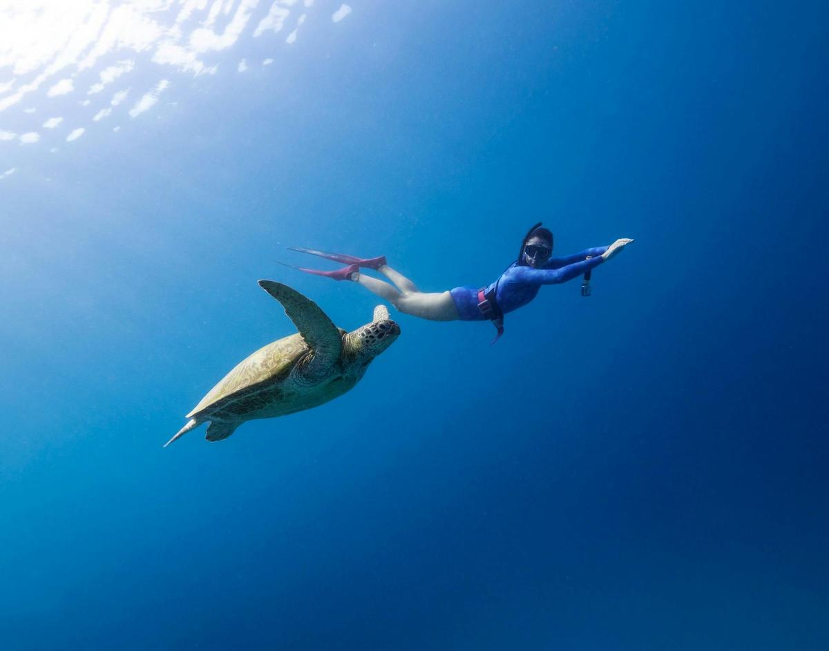 Flying with turtles in Komodo