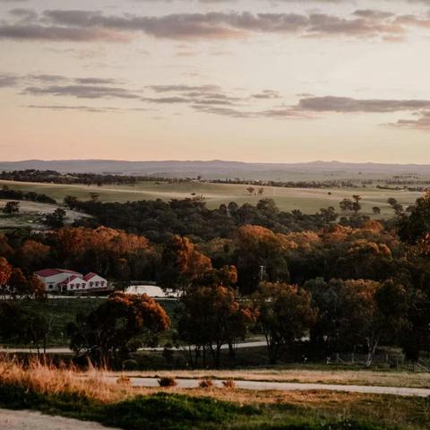 Kangaroo and Goanna Cottages at Winburndale Wines