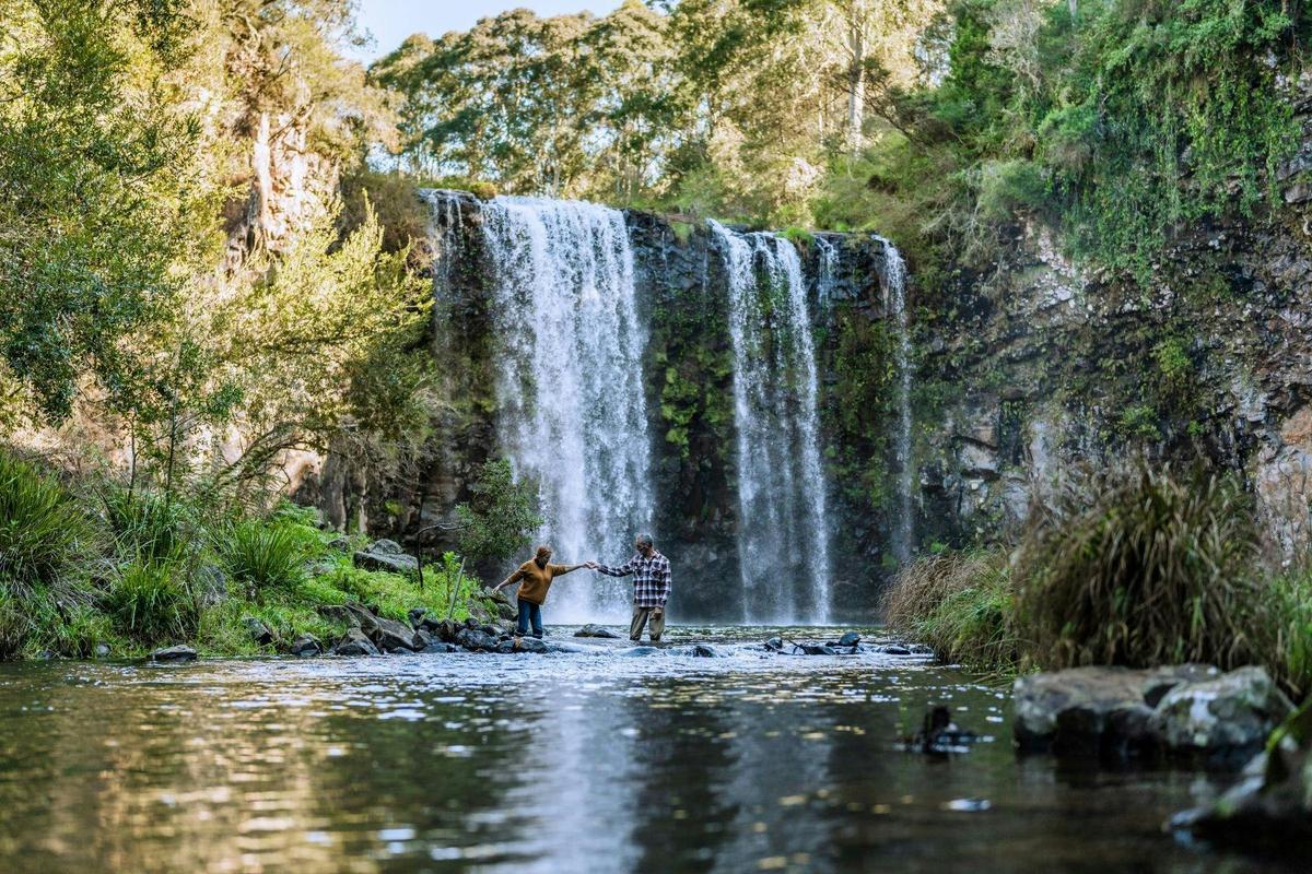 Waterfall Way - Dangar Falls
