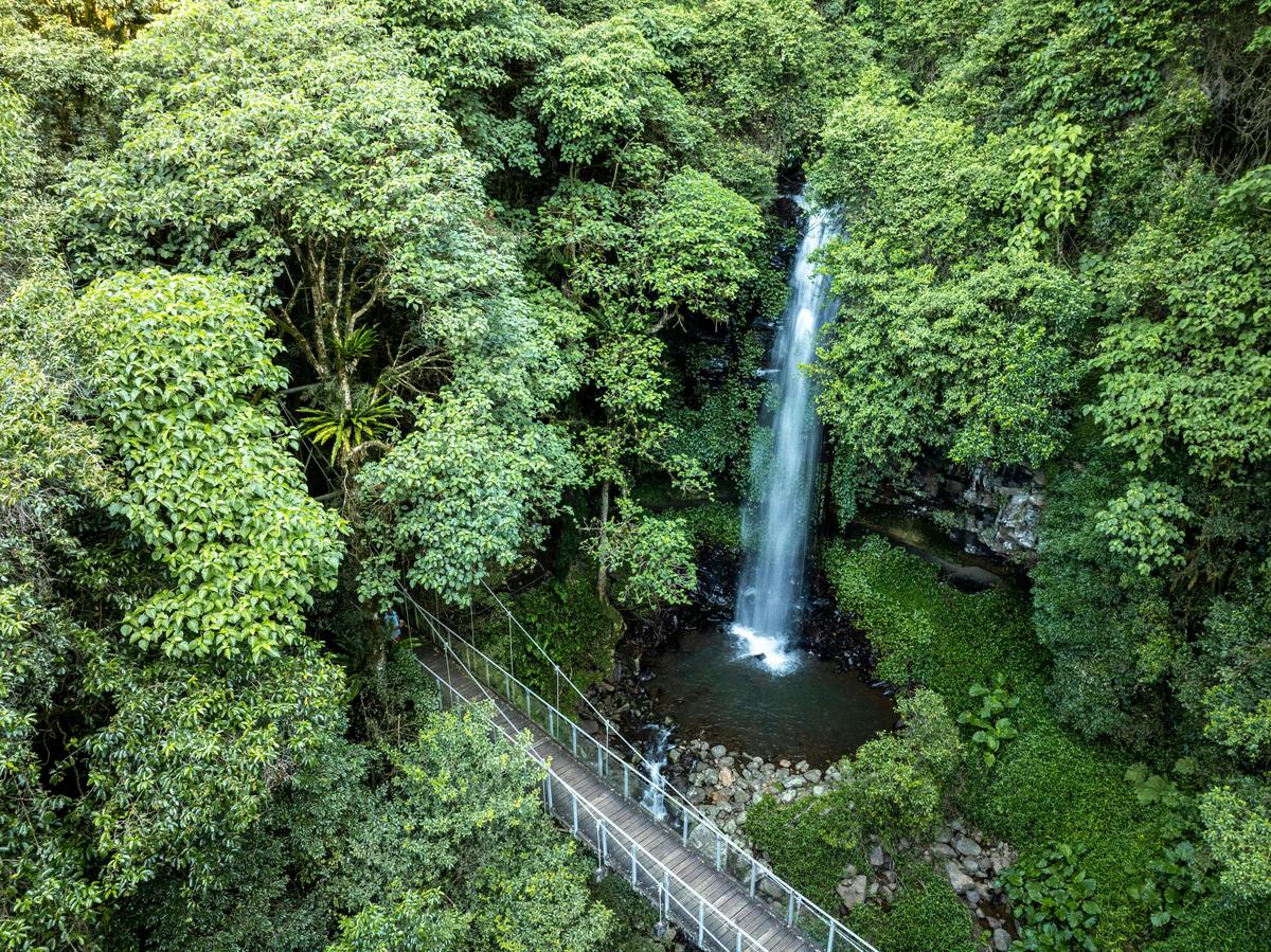 Waterfall Way - Crystal Shower Falls
