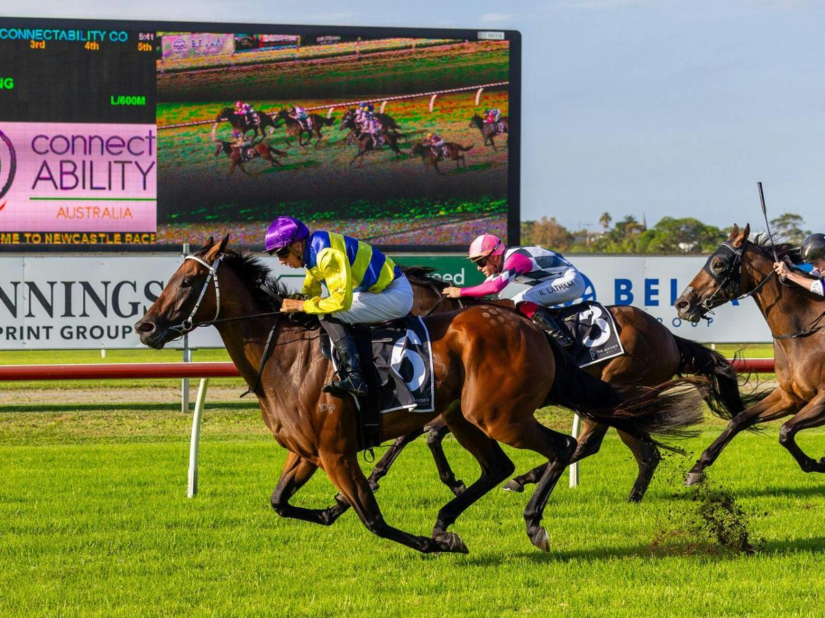 Racing at Newcastle Racecourse