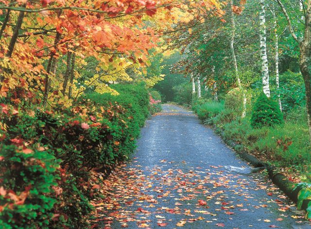 Mount Wilson and Mount Irvine