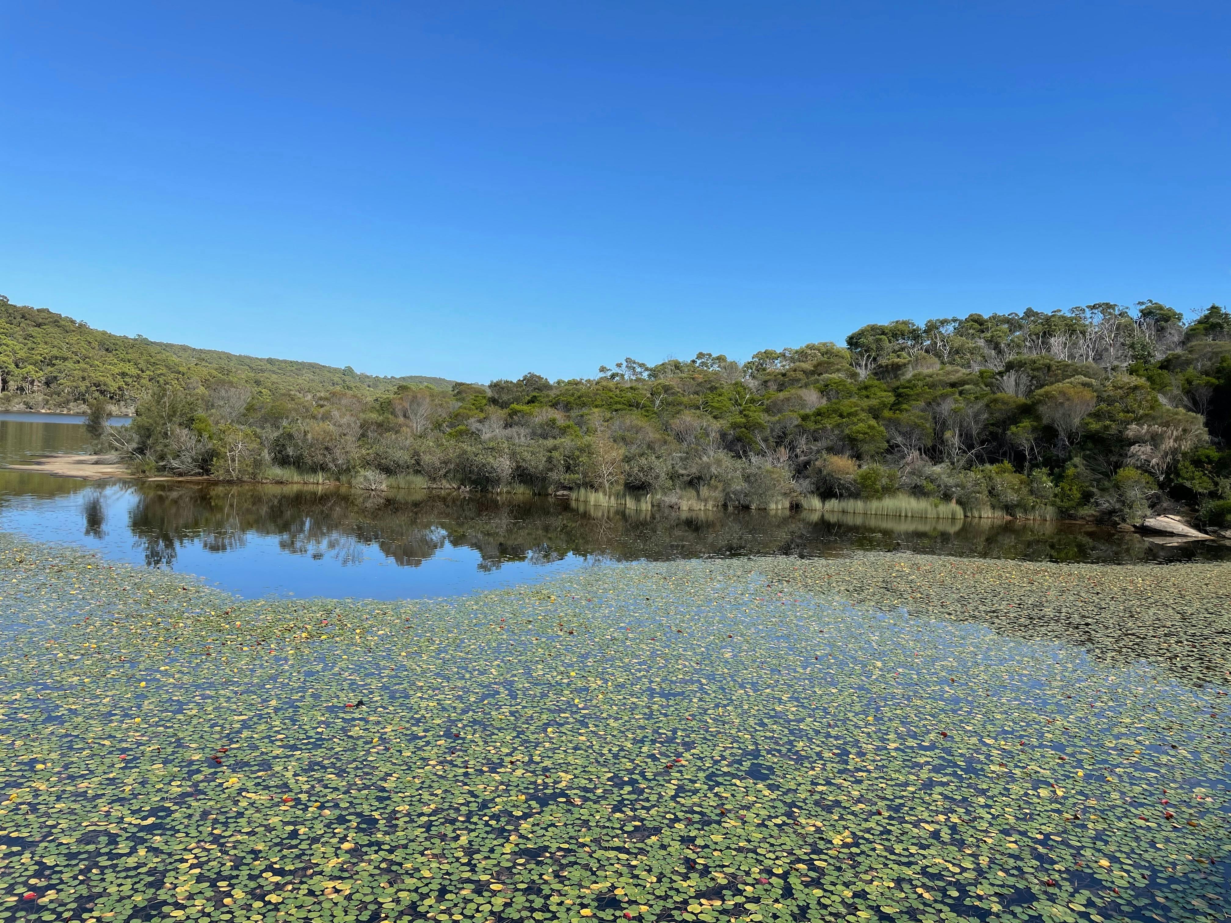 Manly Dam water view