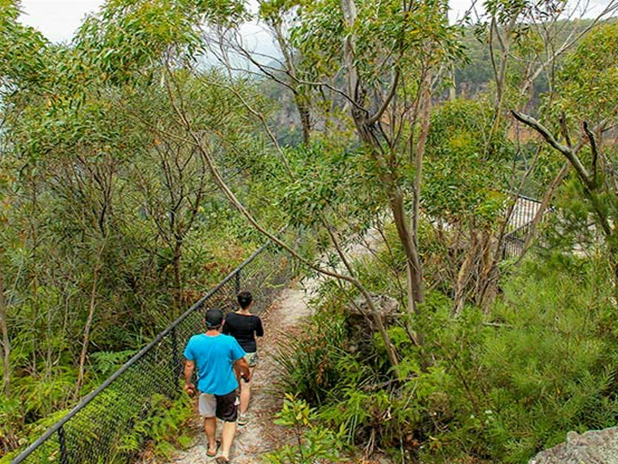 Mannings lookout, Morton National Park. Photo: John Yurasek &copy; DPIE