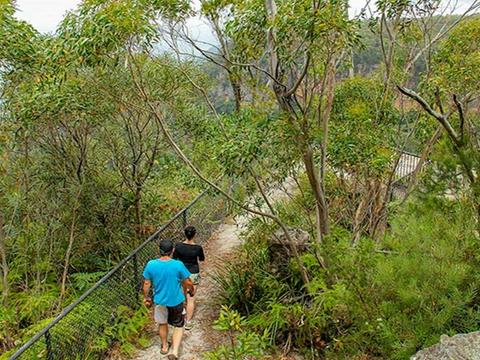 Mannings lookout