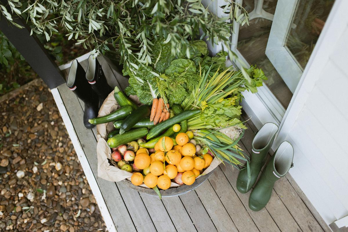 Organic Produce Box