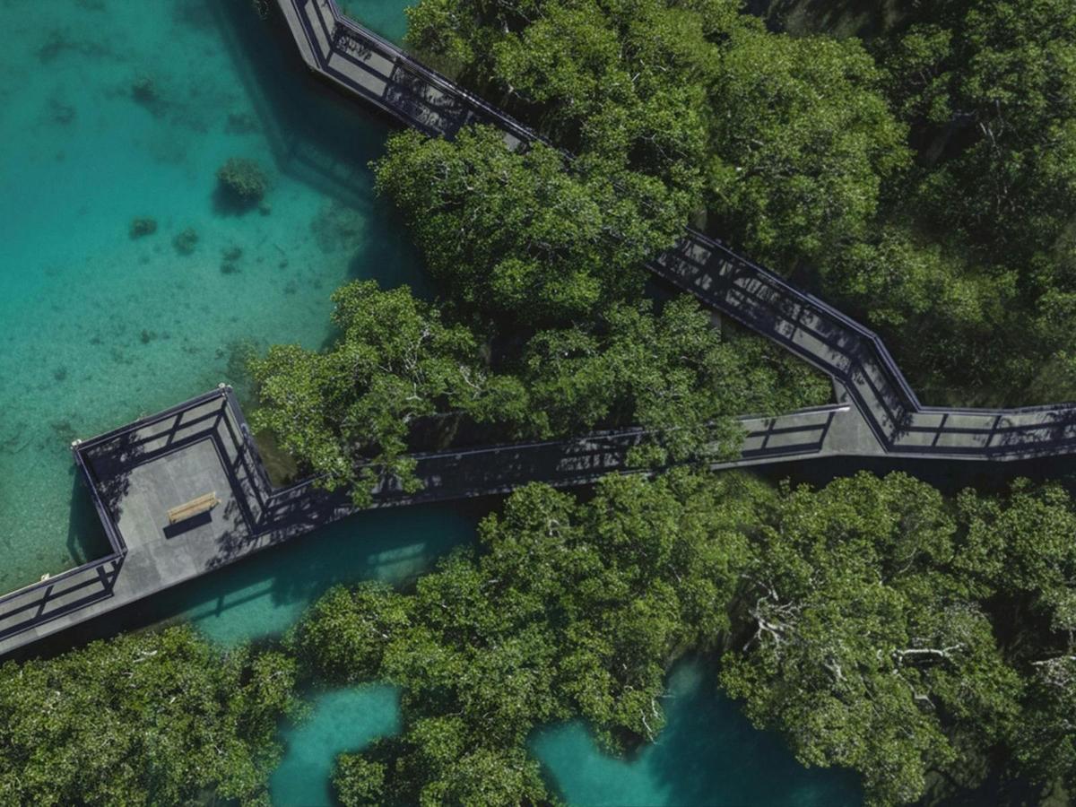 Mangrove Boardwalk