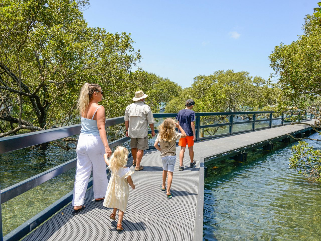 Mangrove Boardwalk Jervis Bay Maritime Museum