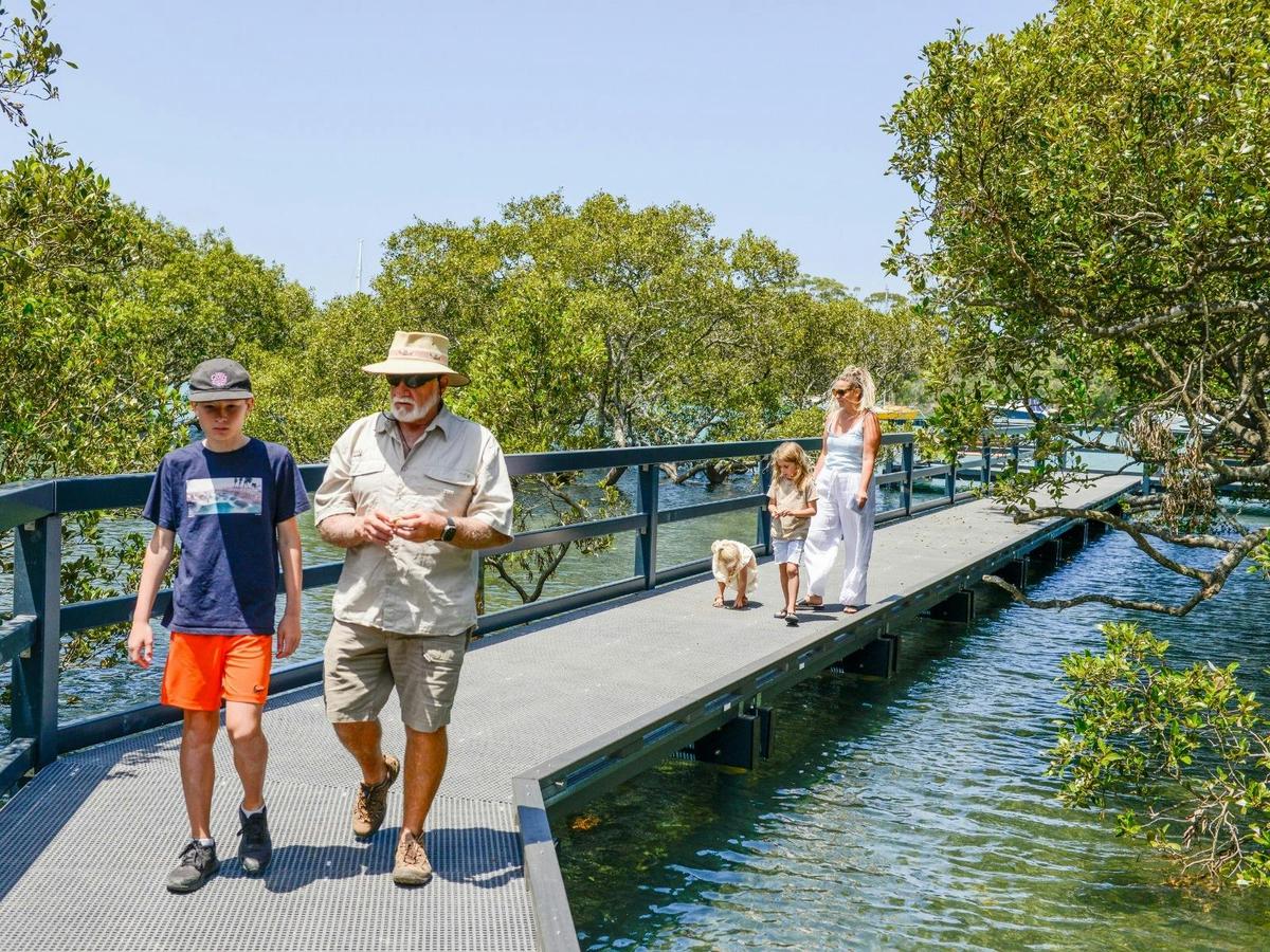 Mangrove Boardwalk