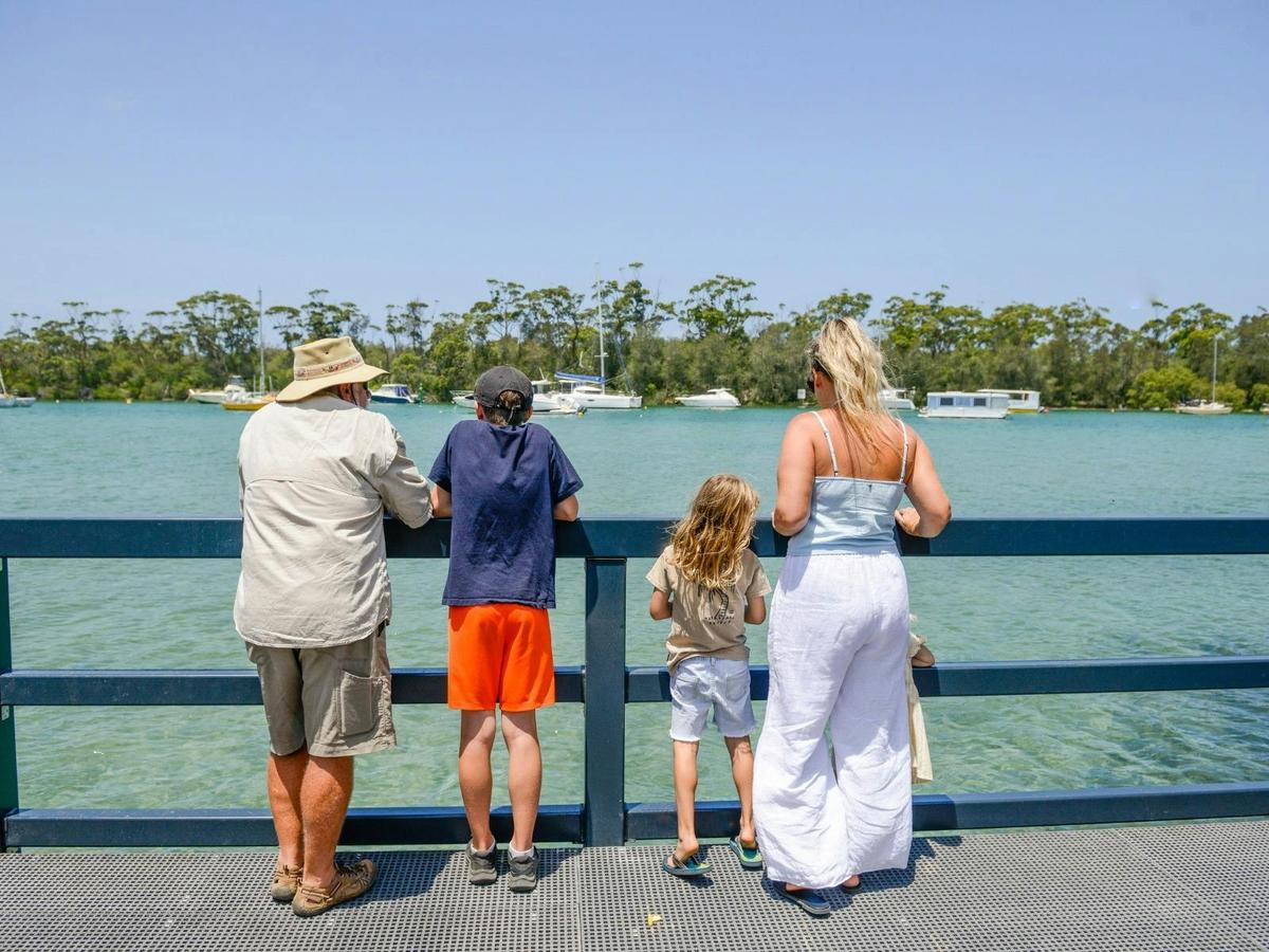 Mangrove Boardwalk