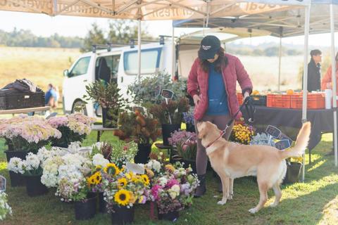 Camden Town Farm Produce Market