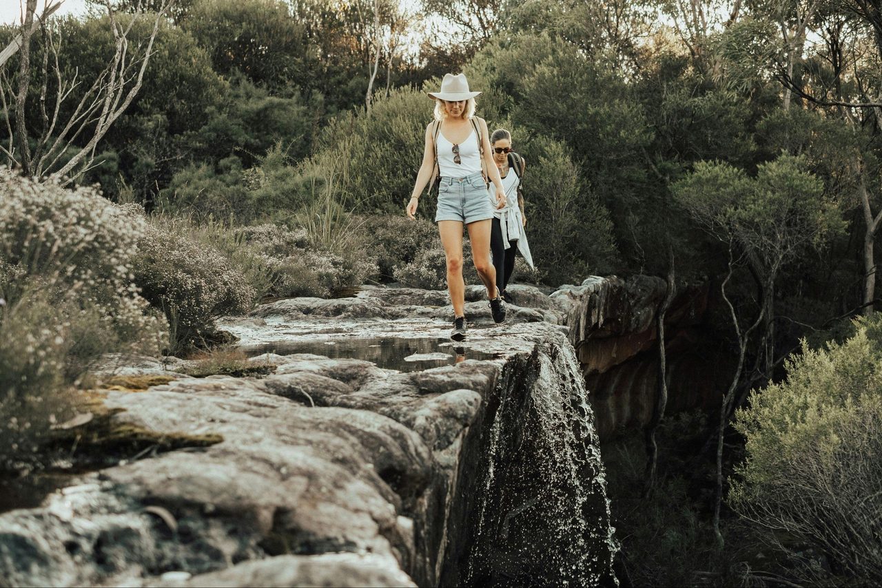 Mt Bushwalker