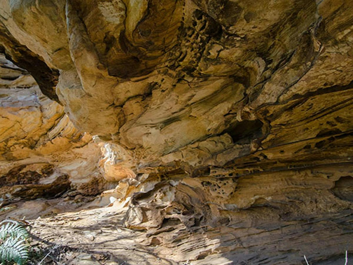 Marramarra National Park. Photo: John Spencer/NSW Government
