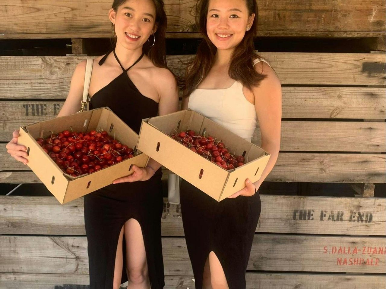 Sisters Picking Fruit