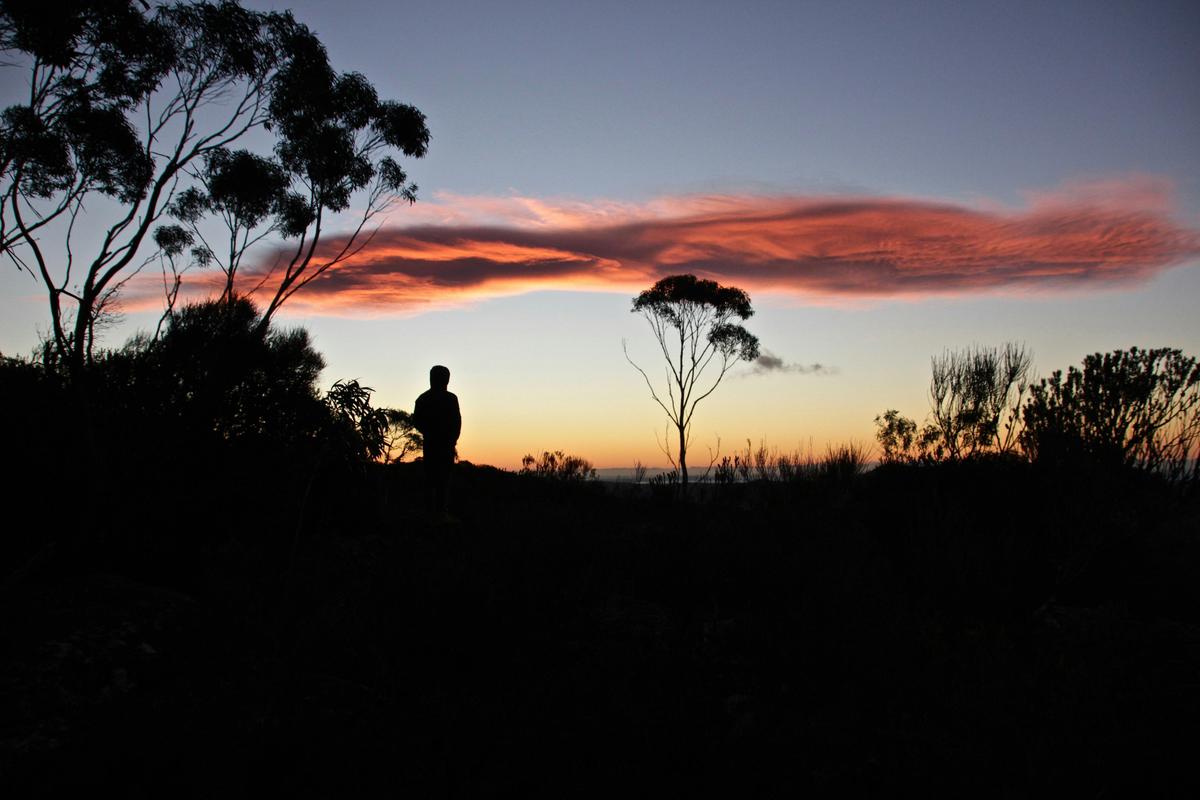 Sunrise in The Budawngs