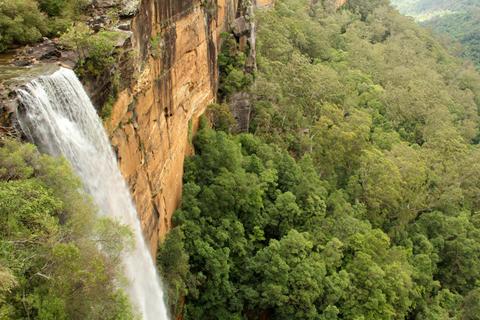 Junior ranger: Fitzroy Falls adventure