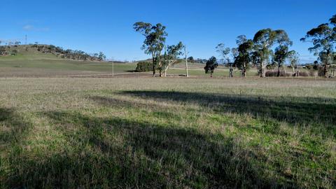 Pleasant Pastures