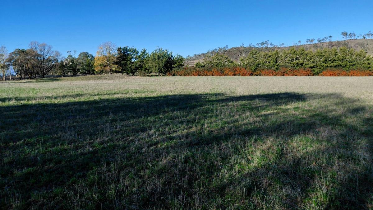 Pleasant Pastures