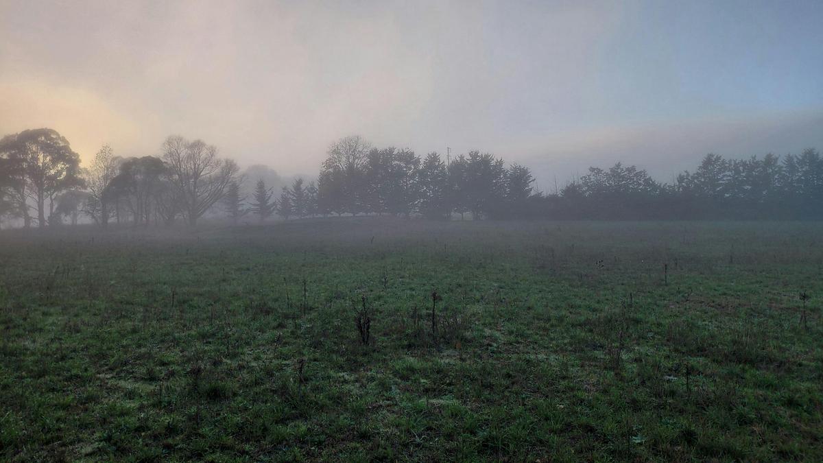 Pleasant Pastures