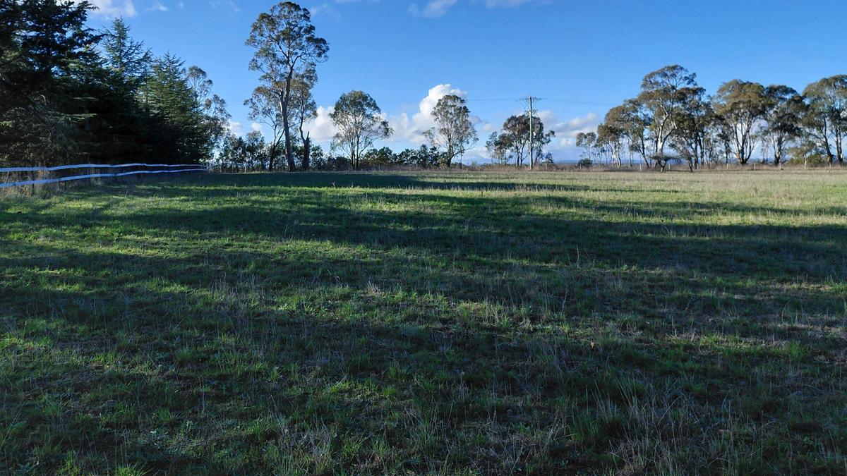 Pleasant Pastures
