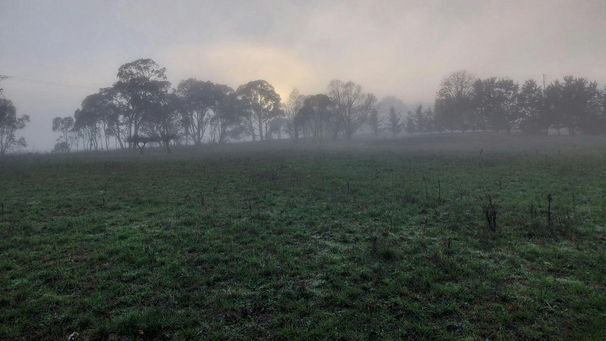 Pleasant Pastures