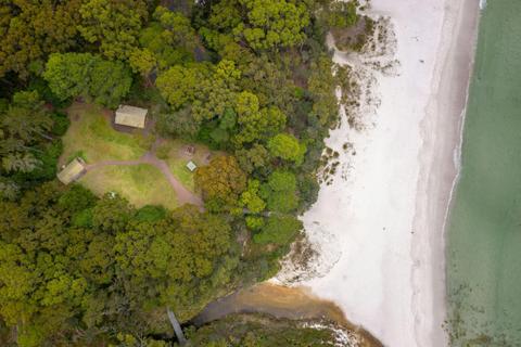 Junior ranger: Greenfield Beach explorer