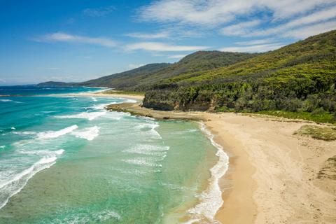 Junior ranger: Pretty Beach coastal adventure
