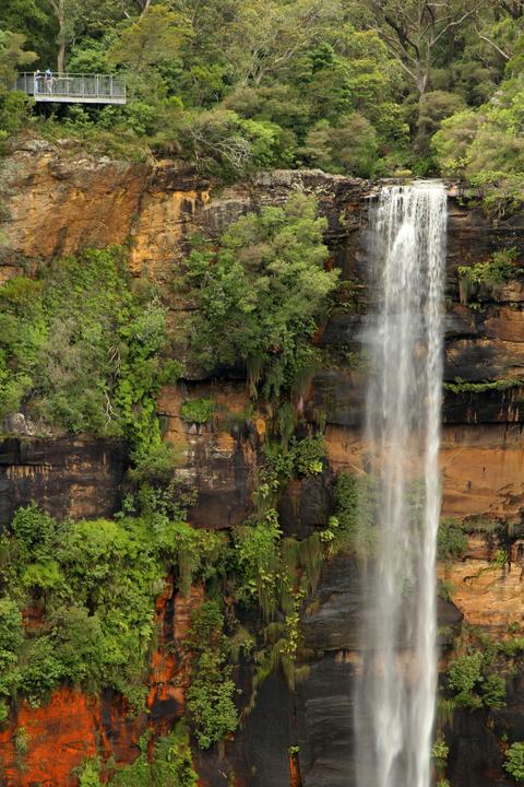 Fitzroy Falls nature tour