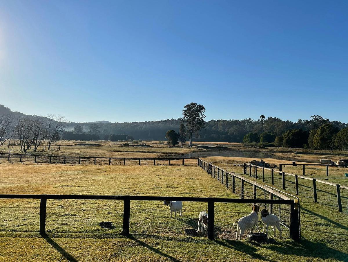 Mollies Farm View